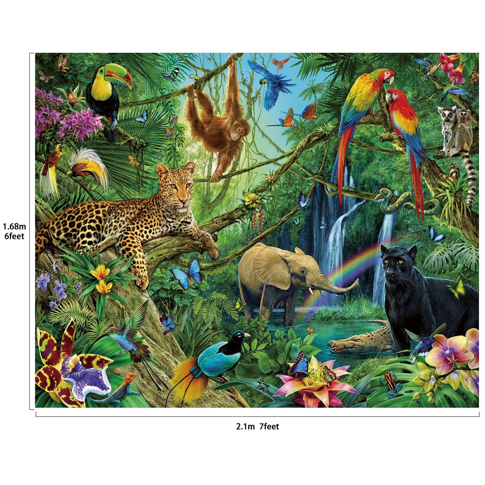 diorama ecosystems rainforest｜TikTok Search
